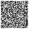 QR code with Ymca contacts