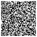QR code with Pulaski County Div contacts
