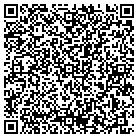 QR code with Brizendine & Assoc Inc contacts