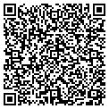QR code with Wonders contacts