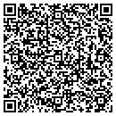 QR code with Crystal's Painting contacts