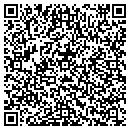 QR code with Premedia One contacts