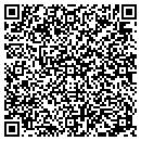 QR code with Bluemar Travel contacts