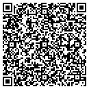 QR code with Premier Travel contacts