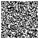 QR code with Blue Water Travel Inc contacts