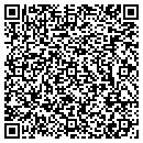 QR code with Caribbean Travel Inc contacts
