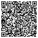 QR code with M M G contacts