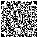 QR code with Cyou Internet Service contacts