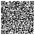 QR code with Holly contacts