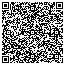QR code with Borgzinner Inc contacts