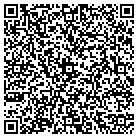 QR code with Pulaski Surgery Clinic contacts