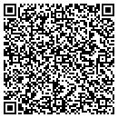 QR code with Cbgi Investment Inc contacts