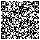 QR code with Premier Cabinet Co contacts