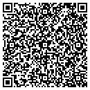 QR code with Crystalview Systems contacts