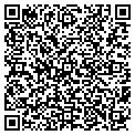 QR code with Amscot contacts