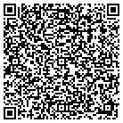 QR code with Public Library Systems contacts