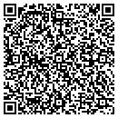 QR code with Cot Investments Inc contacts