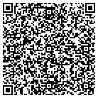 QR code with Professional Accounting contacts