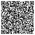 QR code with Tipsee contacts