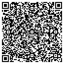 QR code with Ybor Strip Inc contacts