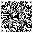 QR code with Pulsar Concepts Inc contacts