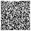 QR code with Professional Suppliers contacts