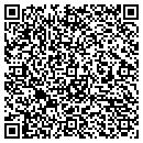 QR code with Baldwin Painting Inc contacts