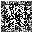 QR code with Pure Life Scandanavia contacts