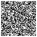 QR code with Pszyk Holdings Inc contacts