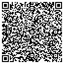 QR code with Public School System contacts