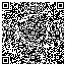 QR code with Cave City School contacts