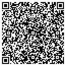 QR code with Pulaski Printing contacts