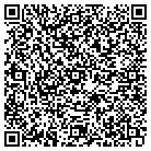 QR code with Professional Fitness Inc contacts