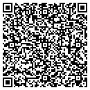 QR code with Stein Antiques contacts