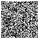 QR code with Blue Ridge Industries contacts
