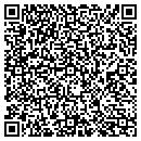QR code with Blue Sky Ice Co contacts