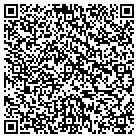 QR code with Platinum System Inc contacts
