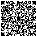 QR code with Ceg Construction Inc contacts