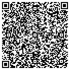 QR code with Pulaski County Radio Comms contacts
