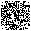 QR code with Pyatt Fire Department contacts