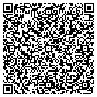 QR code with Professional Connections contacts