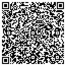 QR code with Pulaski Mortgage Co contacts