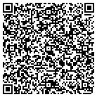 QR code with Professional Electricity contacts