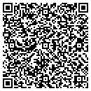 QR code with Cave City High School contacts