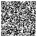QR code with Dandy contacts