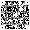 QR code with Price Flying Service contacts