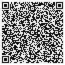 QR code with Bailey Paint Co Inc contacts