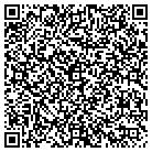QR code with Pyramid Data Midsouth Inc contacts
