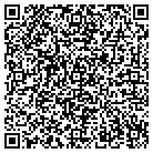 QR code with C T S Rocks & Minerals contacts