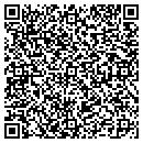 QR code with Pro Nails Hair & Tans contacts